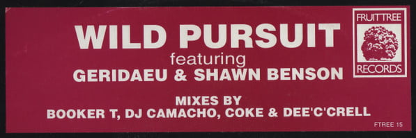 Wild Pursuit Feat Gerideau & Shawn Benson – So In Love
