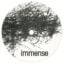 Immense – Spontaneous Combustion