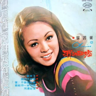 崔苔菁 – 我的秘密