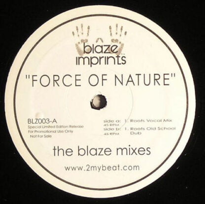 Sunshine Anderson - Force Of Nature (The Blaze Mixes)