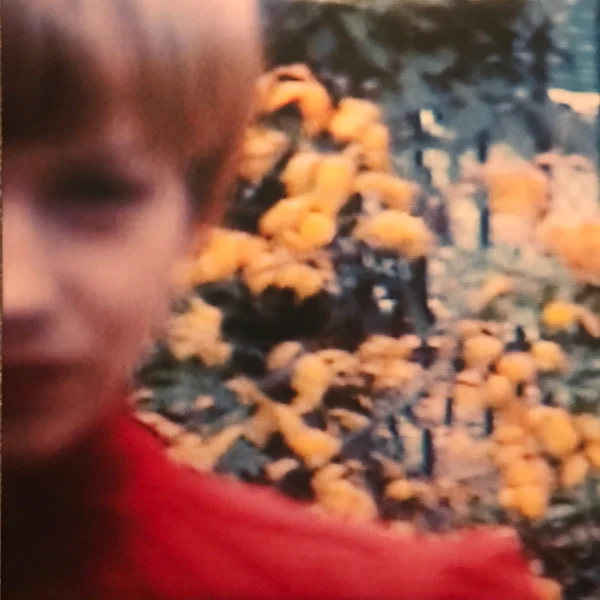 Dot Allison – We Are Science