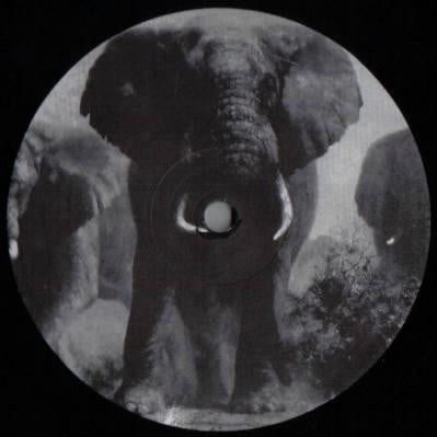 Universal Being – The Size Of An Elephant