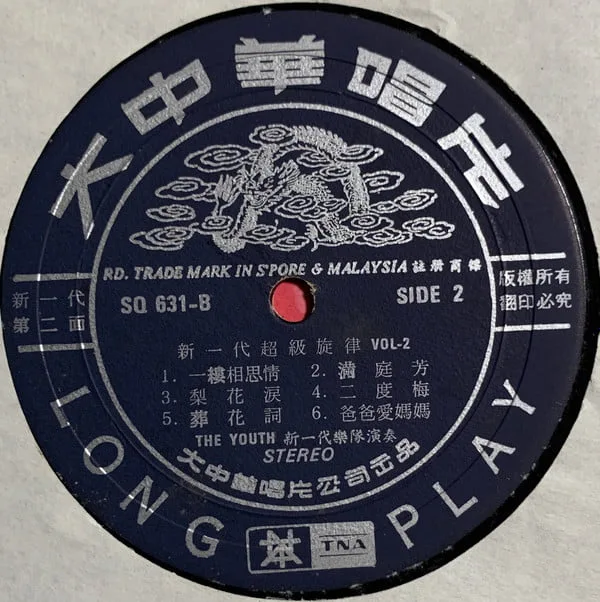 The Youth – 新一代超級旋律 Vol. 2 – 多少柔情多少淚