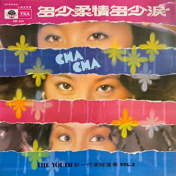 The Youth – 新一代超級旋律 Vol. 2 – 多少柔情多少淚