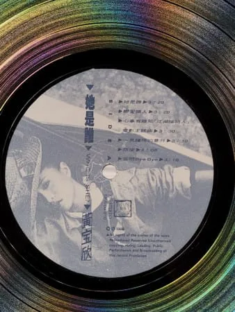 黃寶欣 – 她是誰 (Who Is She?)