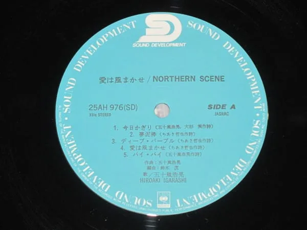 Hiroaki Igarashi – Northern Scene
